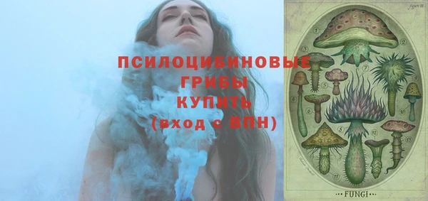 ГАЛЛЮЦИНОГЕННЫЕ ГРИБЫ Новокубанск