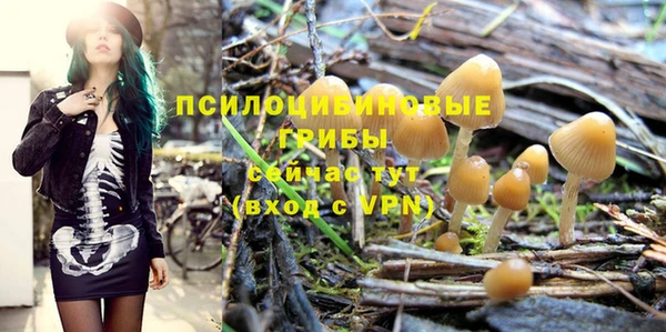 ГАЛЛЮЦИНОГЕННЫЕ ГРИБЫ Новокубанск