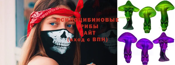 ГАЛЛЮЦИНОГЕННЫЕ ГРИБЫ Новокубанск