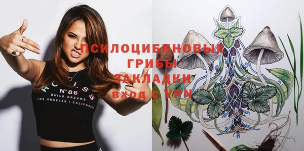первитин Новозыбков