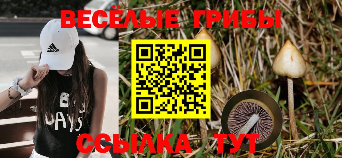 купить закладку  Псилоцибиновые грибы Magic Shrooms  Вход с VPN  Карталы 