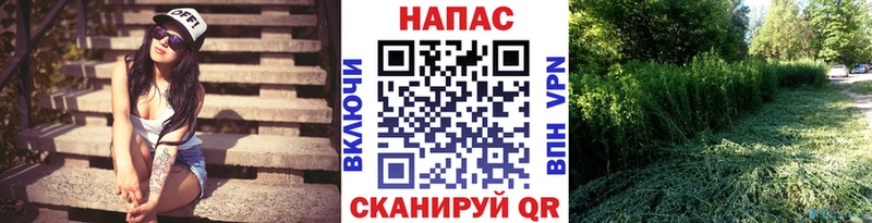 Бошки Шишки план цена Карталы